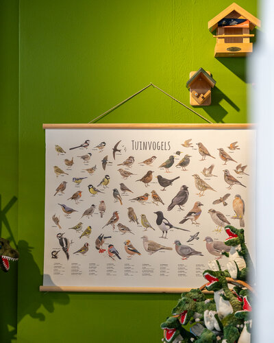 Een poster van diverse vogels