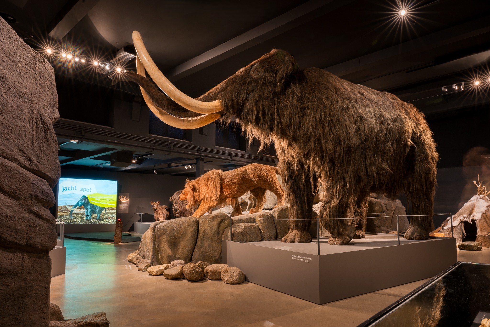Natuurmuseum Brabant