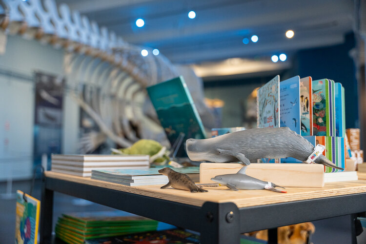 Diverse spullen in de museum winkel