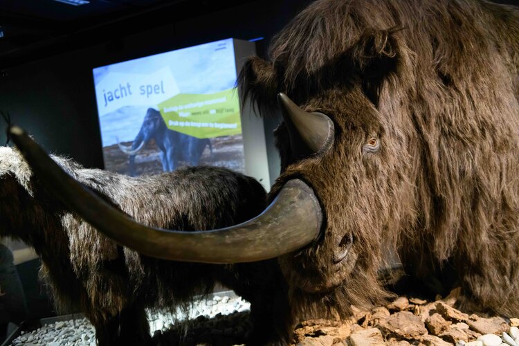 Een doorkijkje door de IJstijd zaal