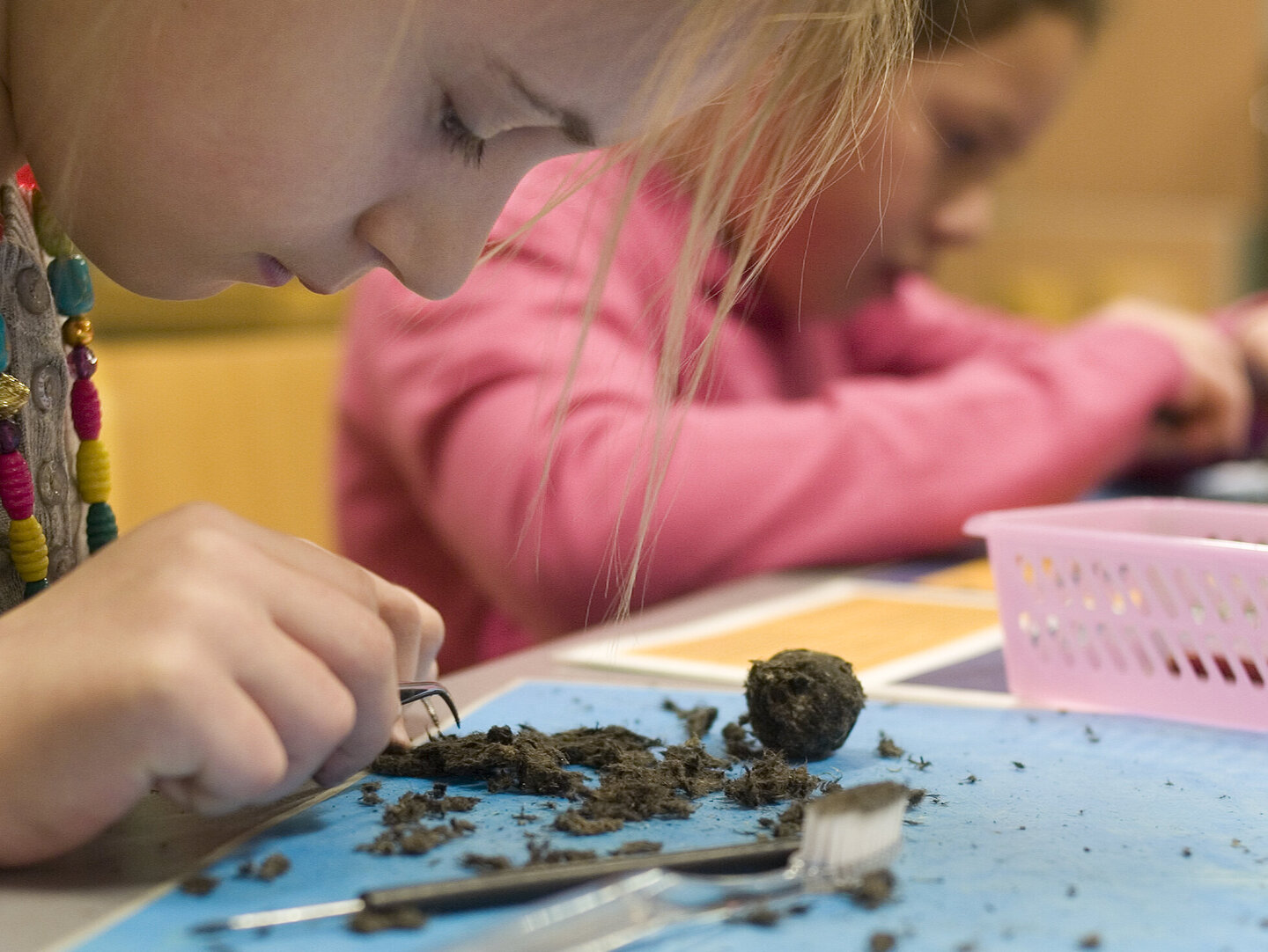 Kinderen die braakballen ontleden