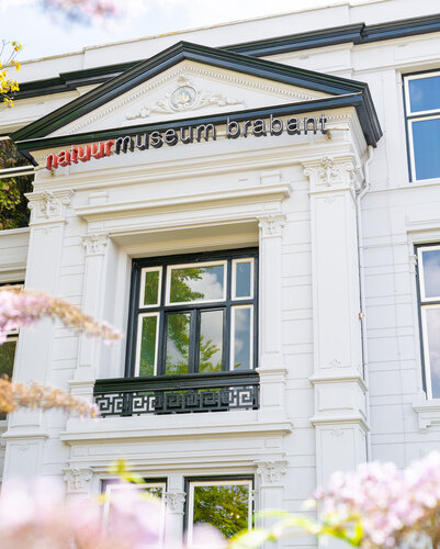 De buitenkant van het museum