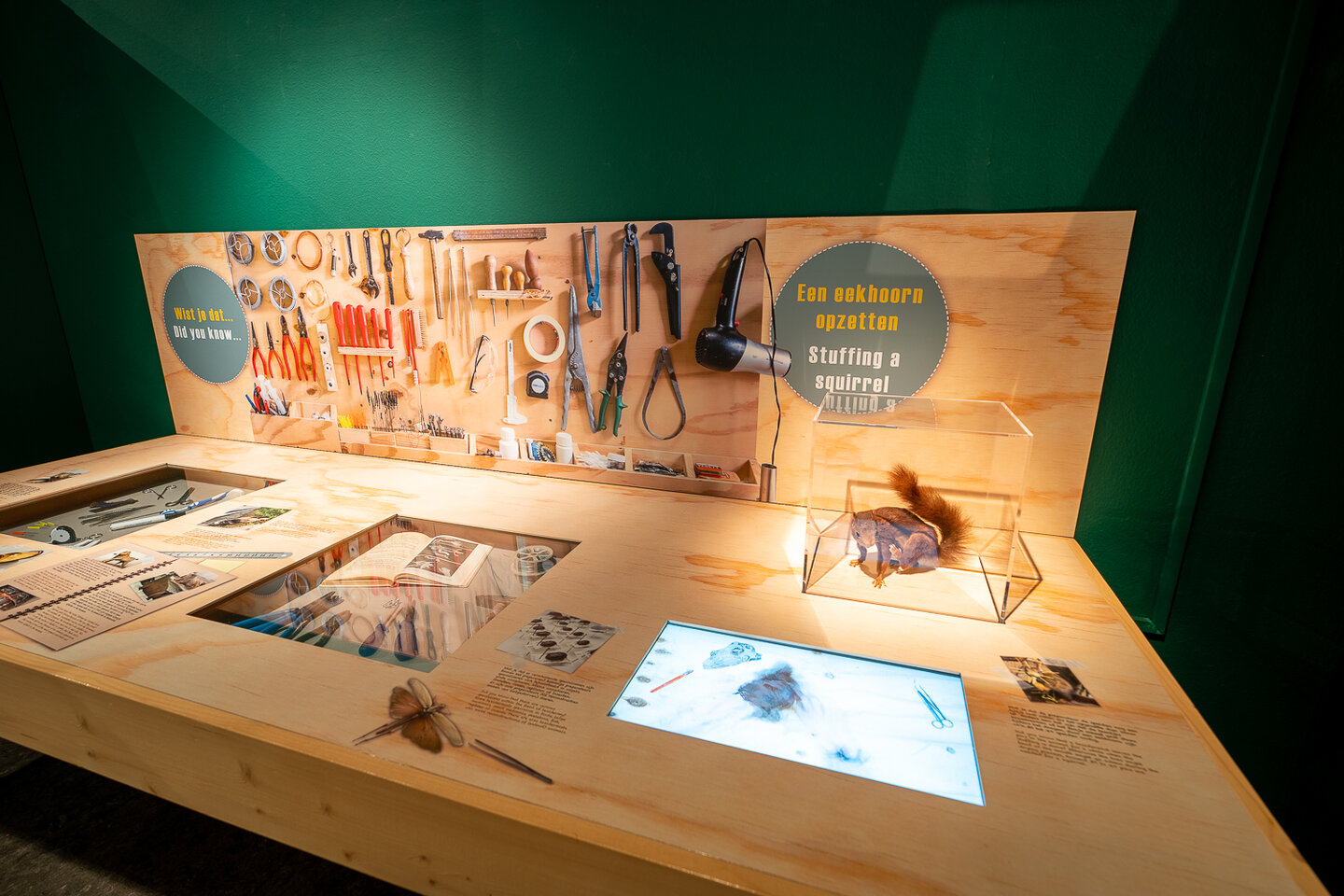 Een werktafel met gereedschap om overleden dieren op te zetten