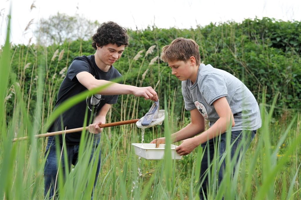 Jongens met een schepnet die onderzoek aan het doen zijn in de biodiversiteit